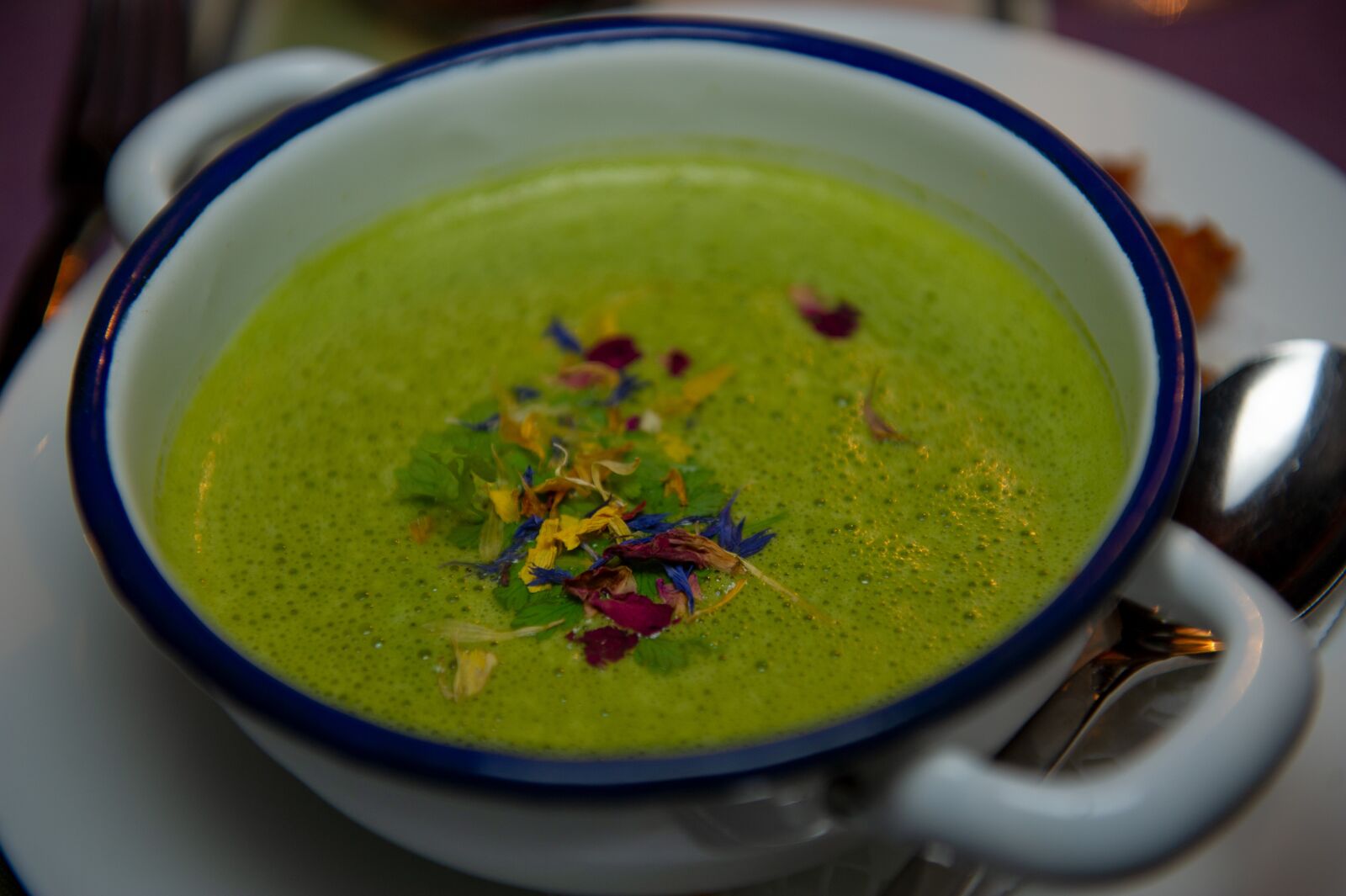 Nikon D3S sample photo. Chard, swiss chard soup photography