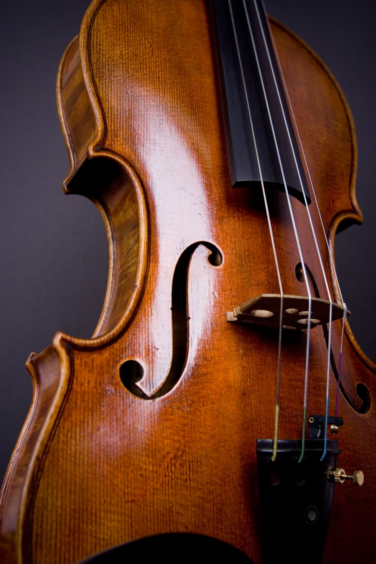 Canon EOS 350D (EOS Digital Rebel XT / EOS Kiss Digital N) sample photo. Violin, viola, orchestra photography