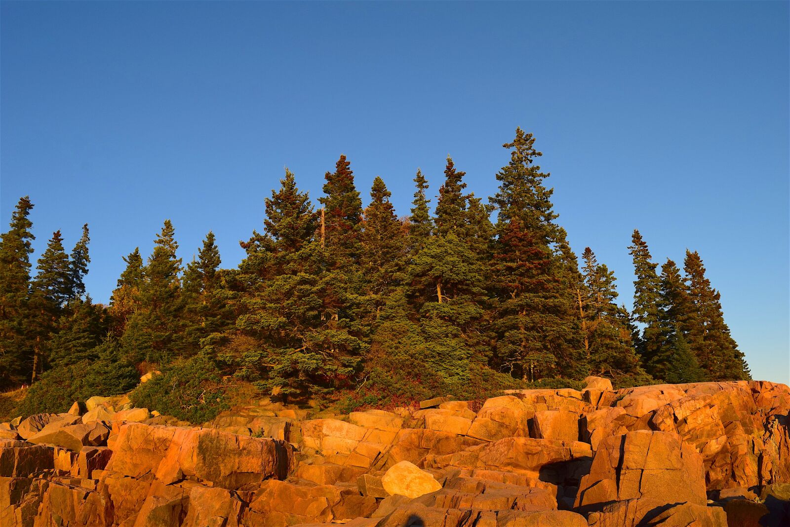 Nikon D3300 sample photo. Sunset, trees, rocks photography
