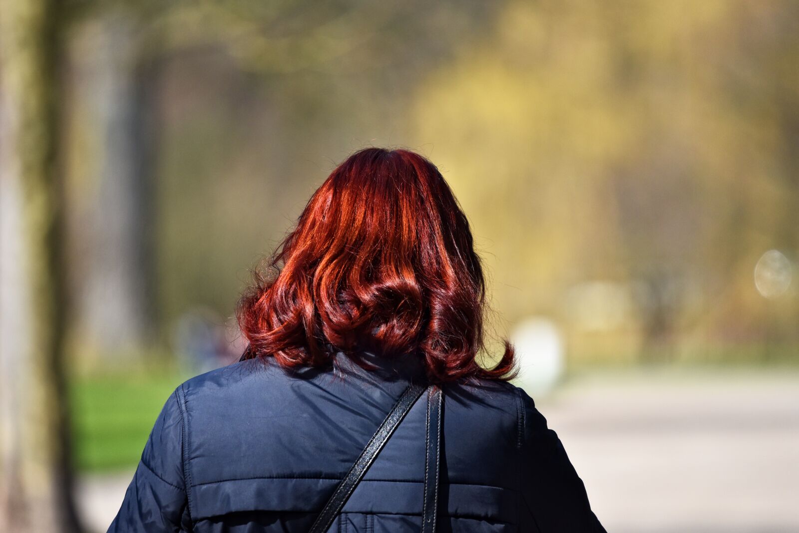 Nikon D750 sample photo. Auburn hair, hair, auburn photography