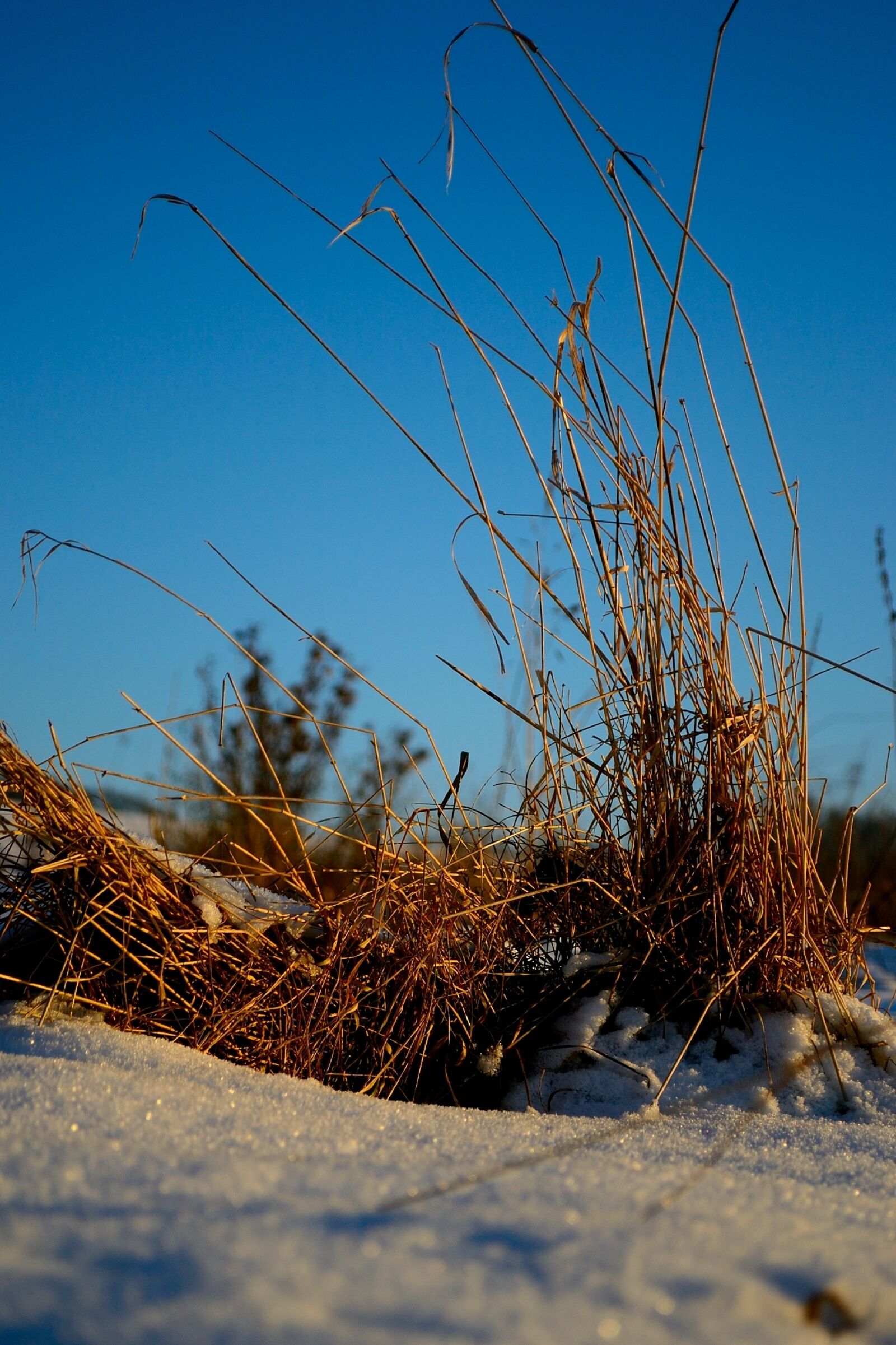 Nikon D3100 sample photo. Nature, sky, landscape photography