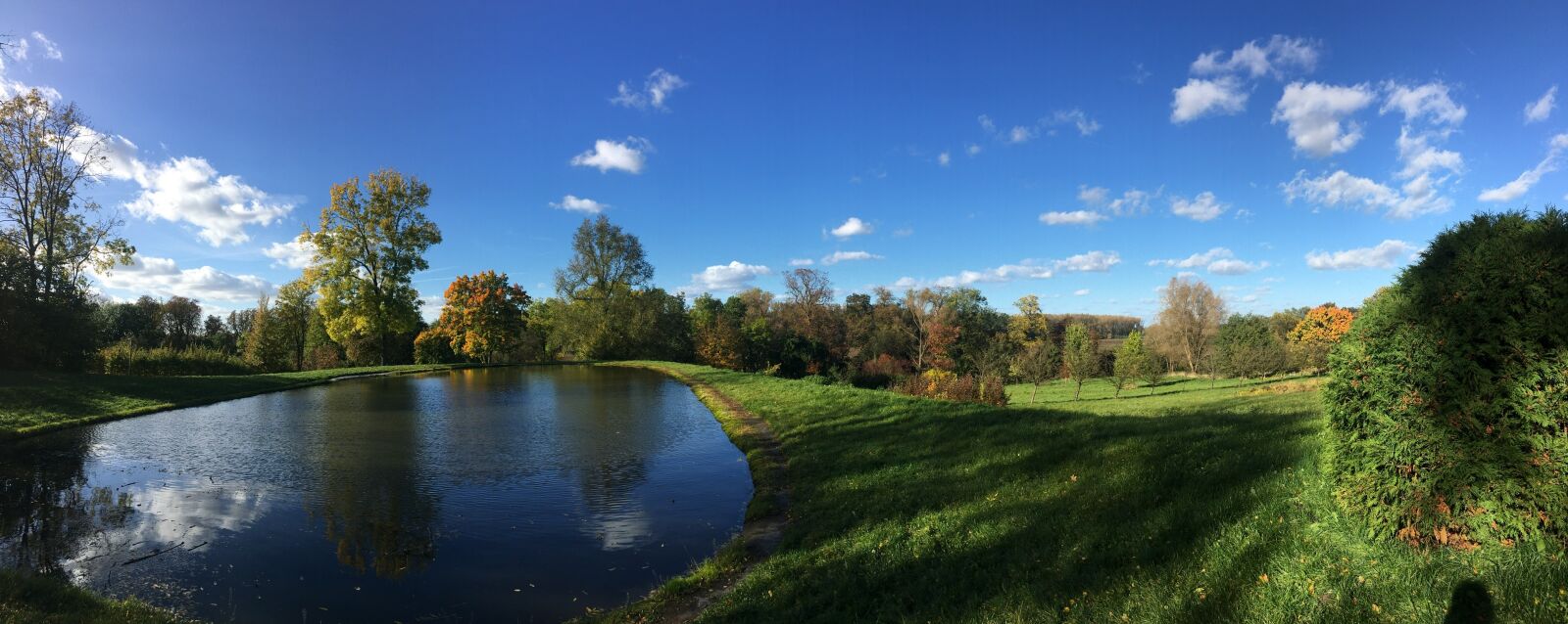 Apple iPhone 6s Plus sample photo. Autumn, autumn weather, autumn photography