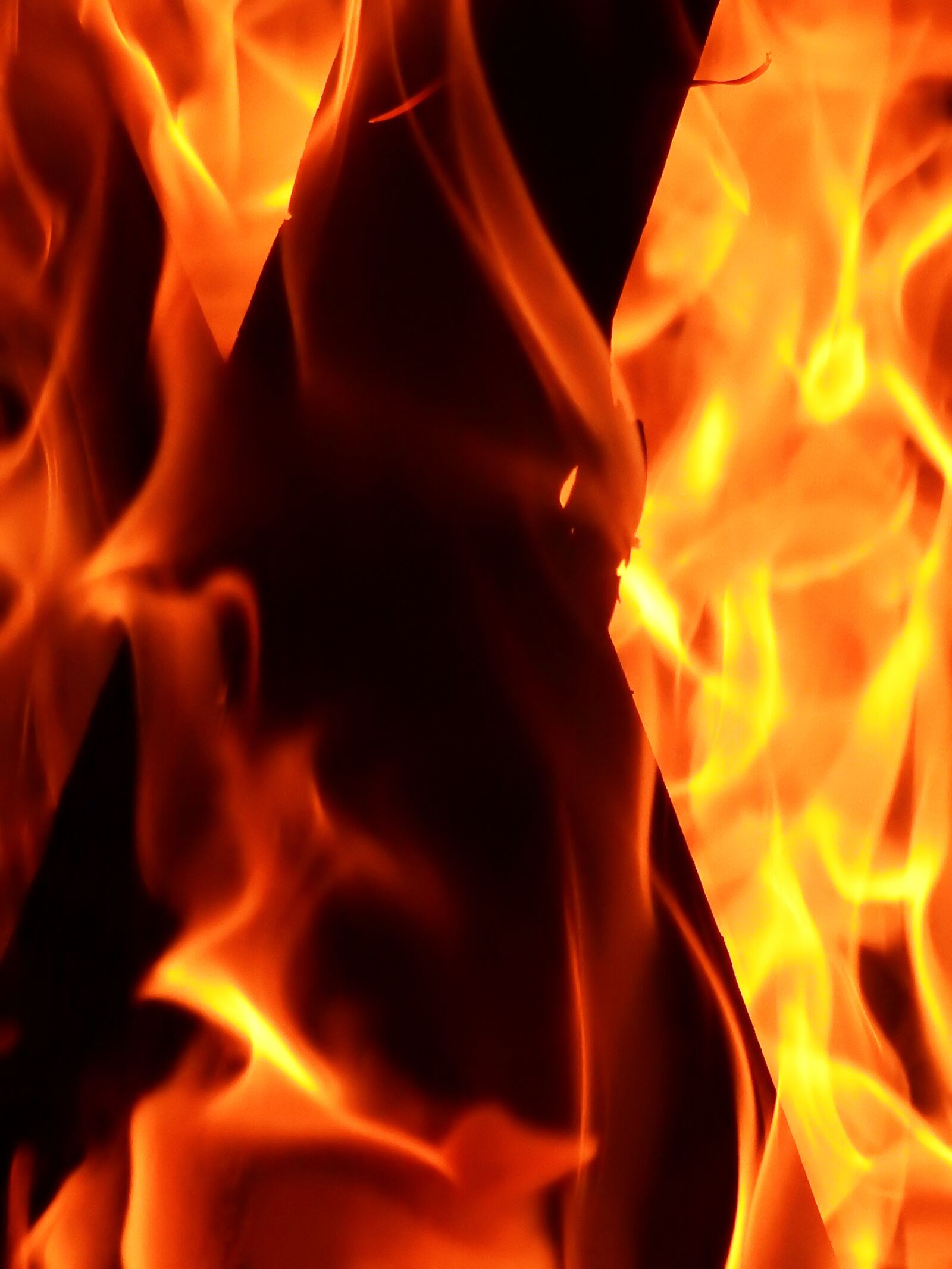 Nikon Coolpix P900 sample photo. Fire, flame, burn photography