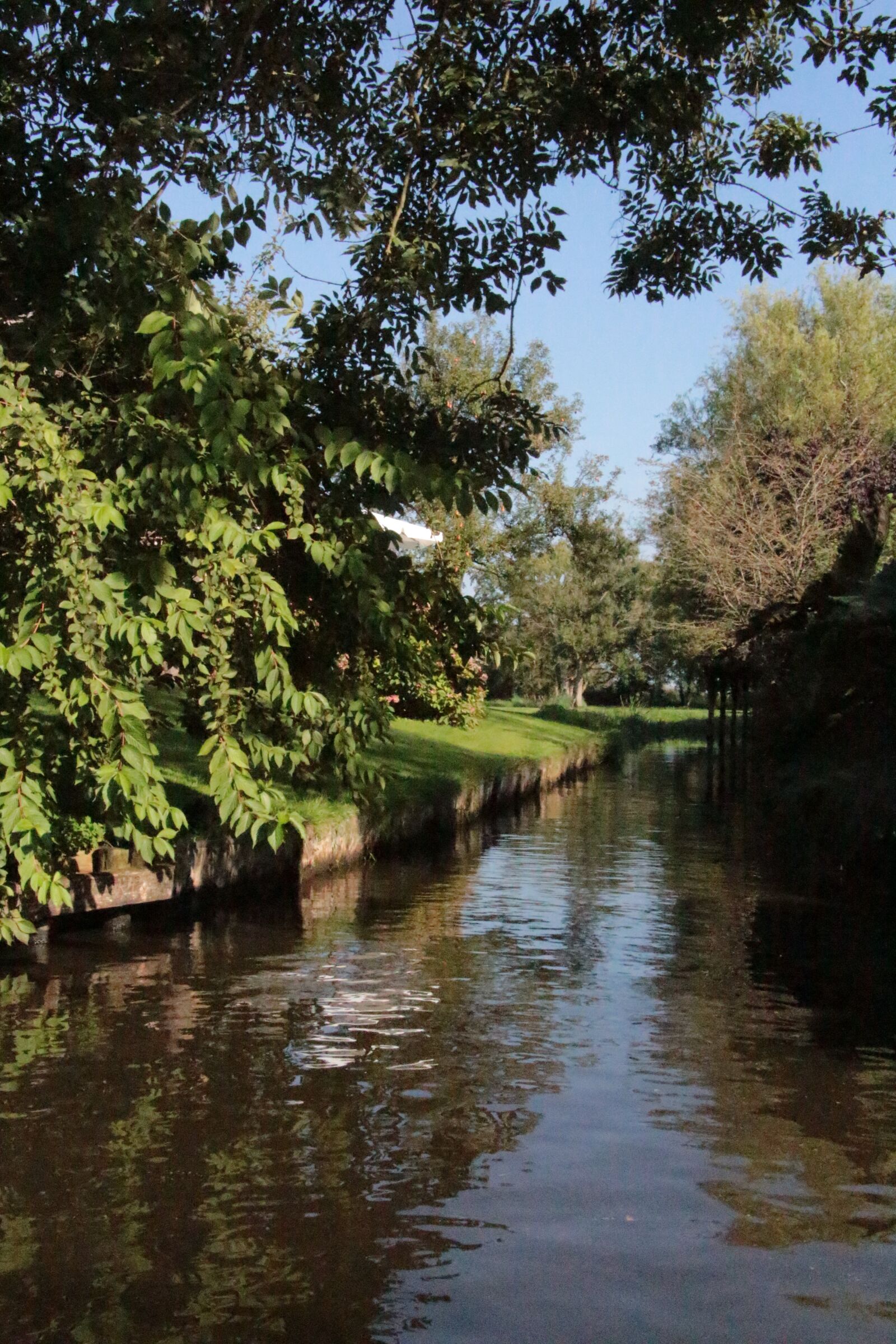 Canon EOS 700D (EOS Rebel T5i / EOS Kiss X7i) sample photo. Giethoorn, landscape, daytrip photography