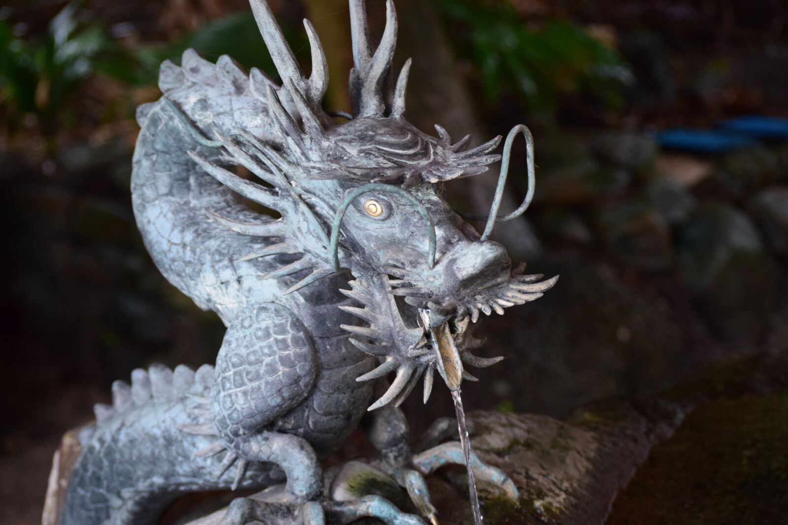 Nikon D5300 sample photo. Miyazaki, qingdao, dragon photography