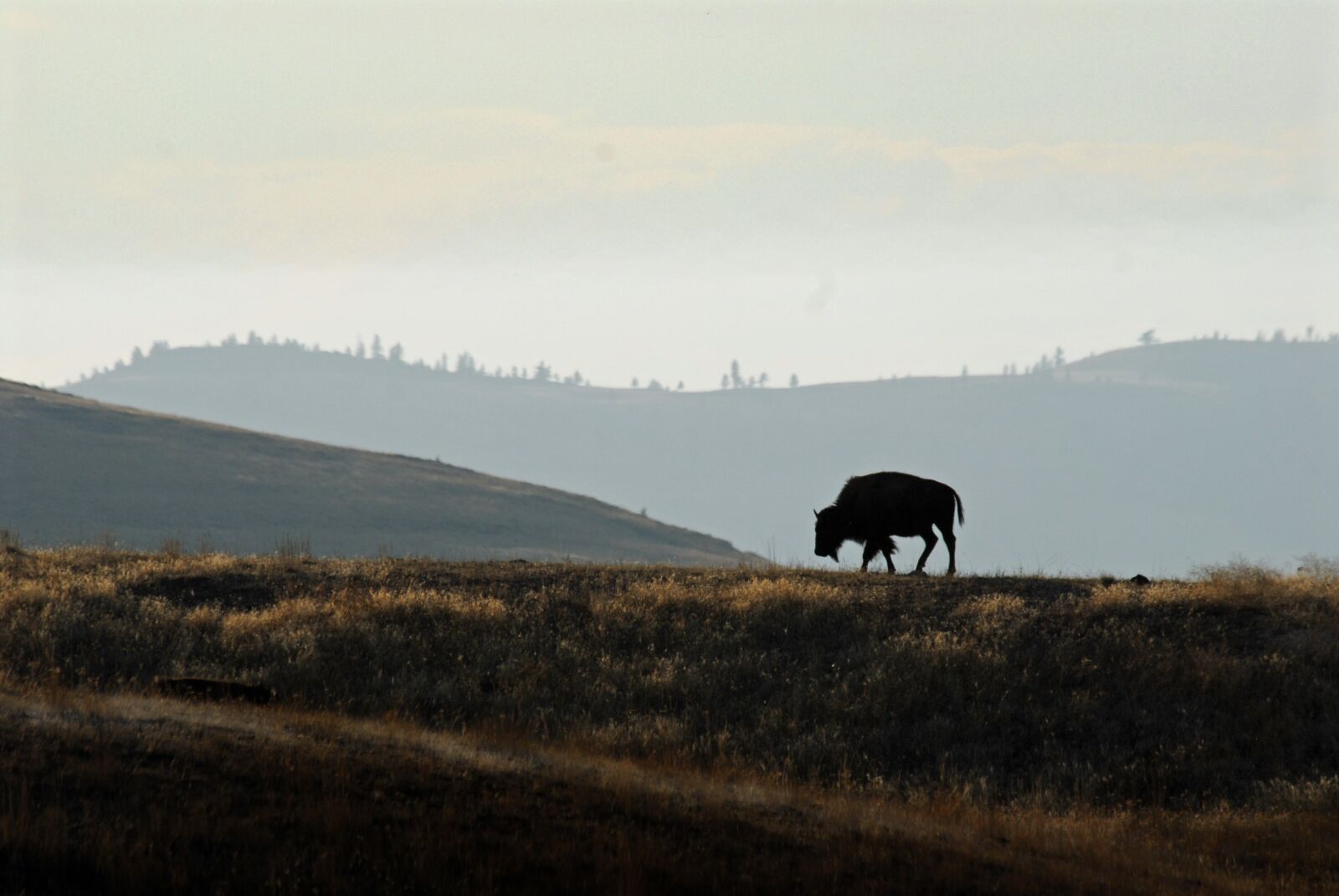 Nikon D200 sample photo. Landscape, outdoors, horizontal plane photography