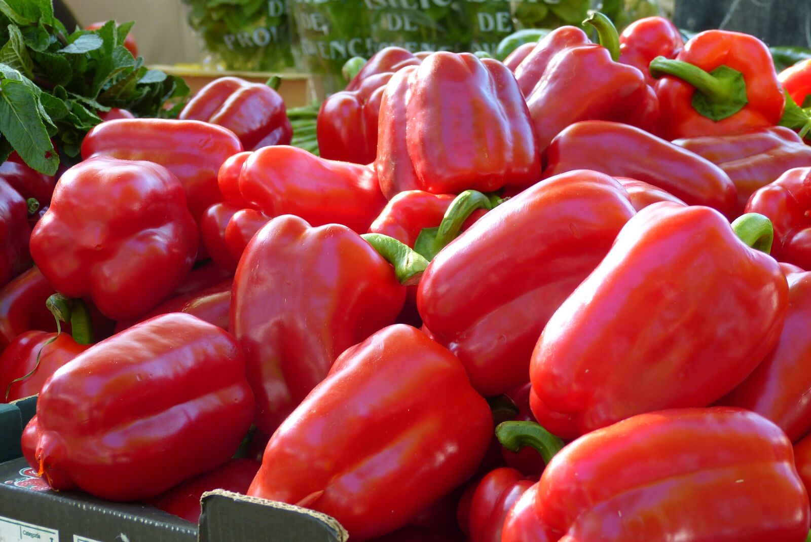 Panasonic Lumix DMC-FZ150 sample photo. Arles, farmers local market photography
