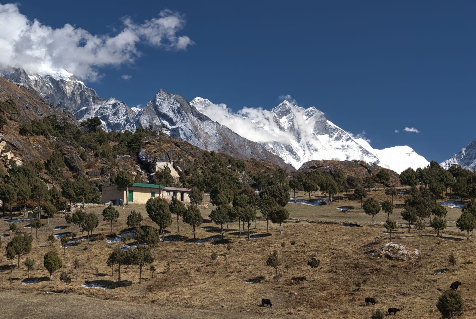 Nikon D80 sample photo. Nepal, mountaine, mountains photography