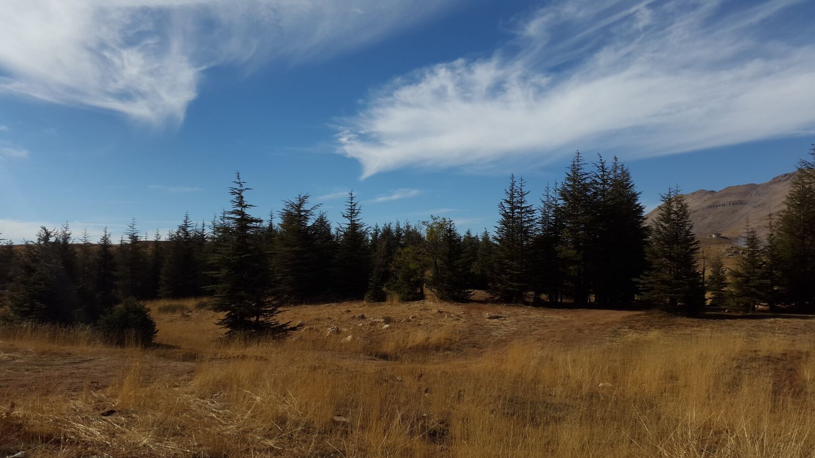 Samsung Galaxy S5 sample photo. Sky, blue, clouds photography