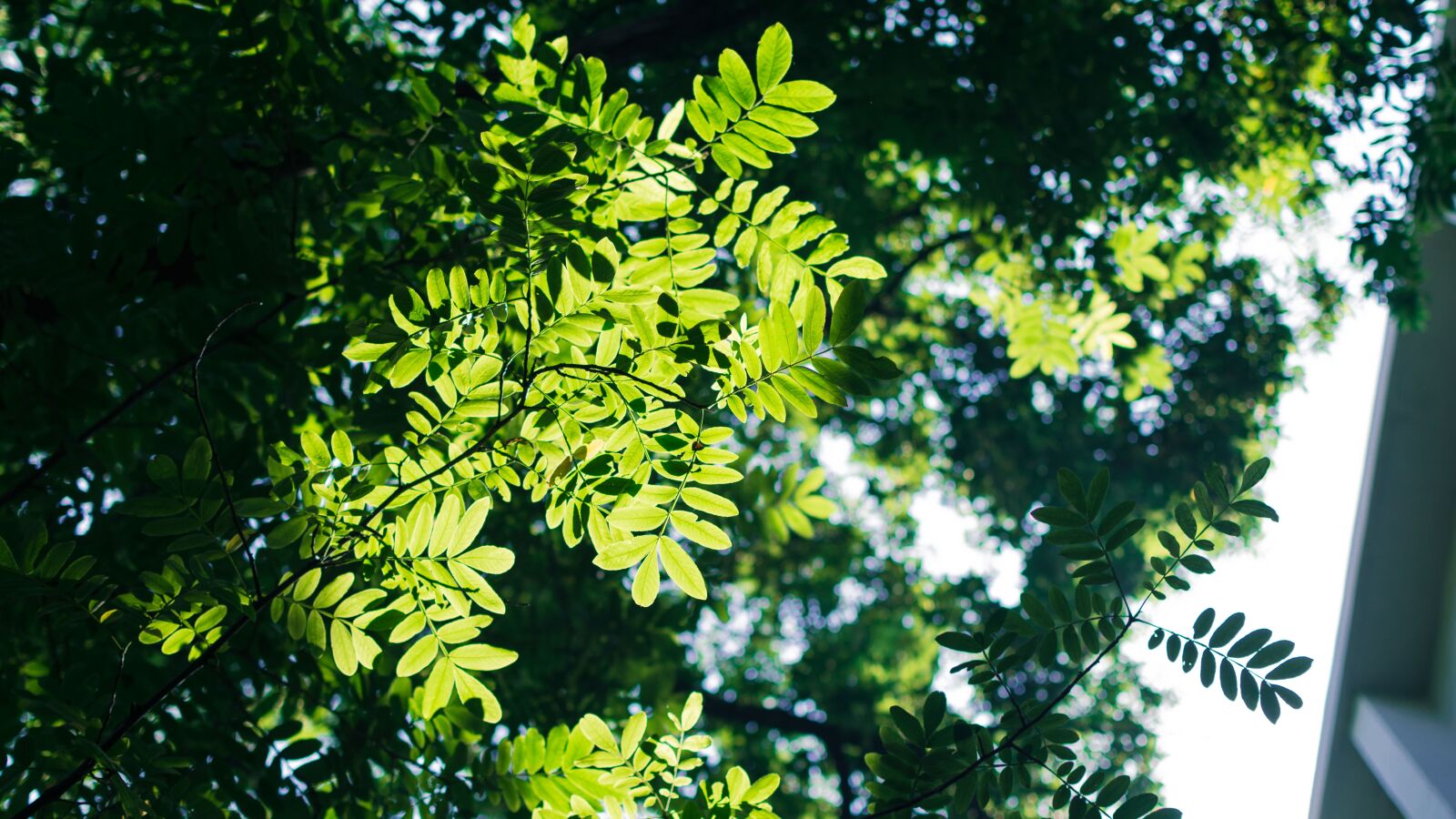 Nikon D7100 sample photo. Light and shadow, de photography