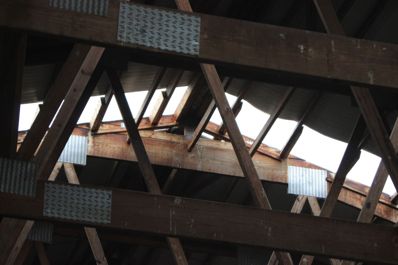 Canon EOS 600D (Rebel EOS T3i / EOS Kiss X5) sample photo. Architecture, barn, bird, black photography