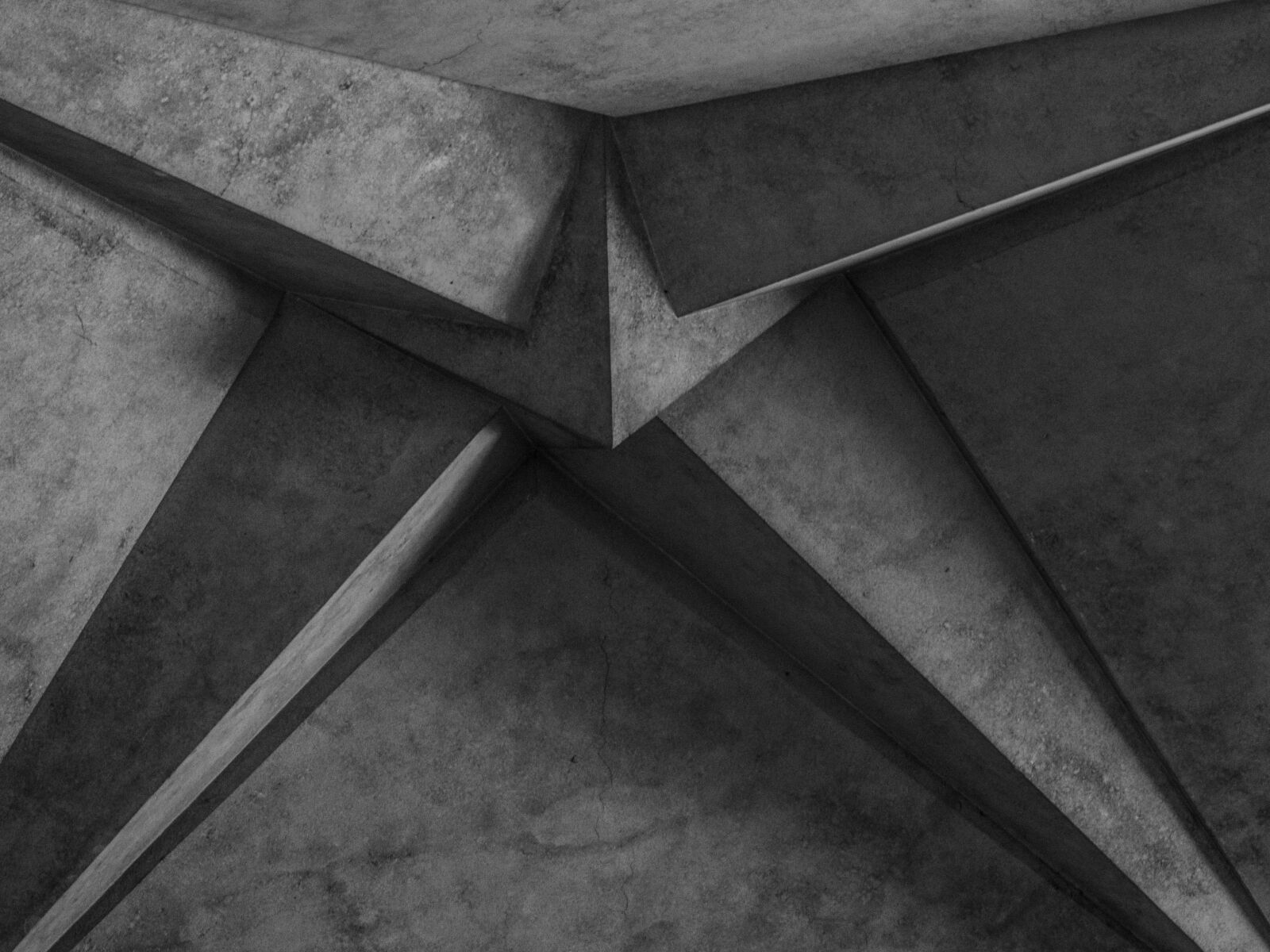 Olympus OM-D E-M5 II sample photo. Ceiling, cathedral, sagrada fam photography