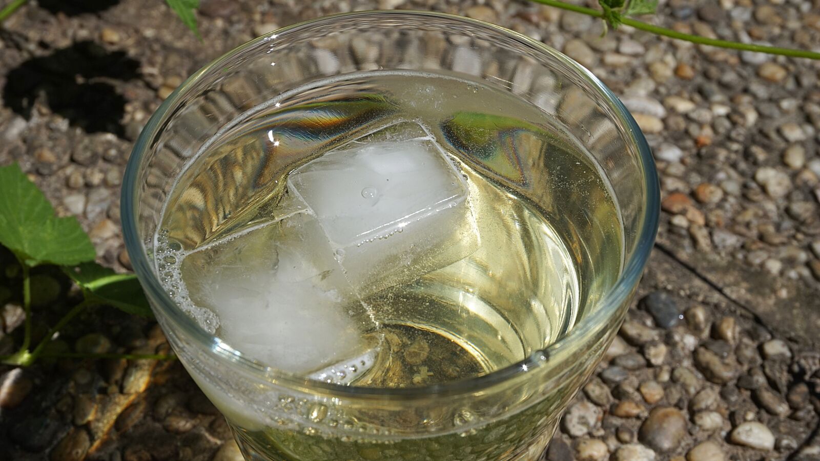 Sony Alpha a5000 (ILCE 5000) sample photo. Water glass, ice cubes photography