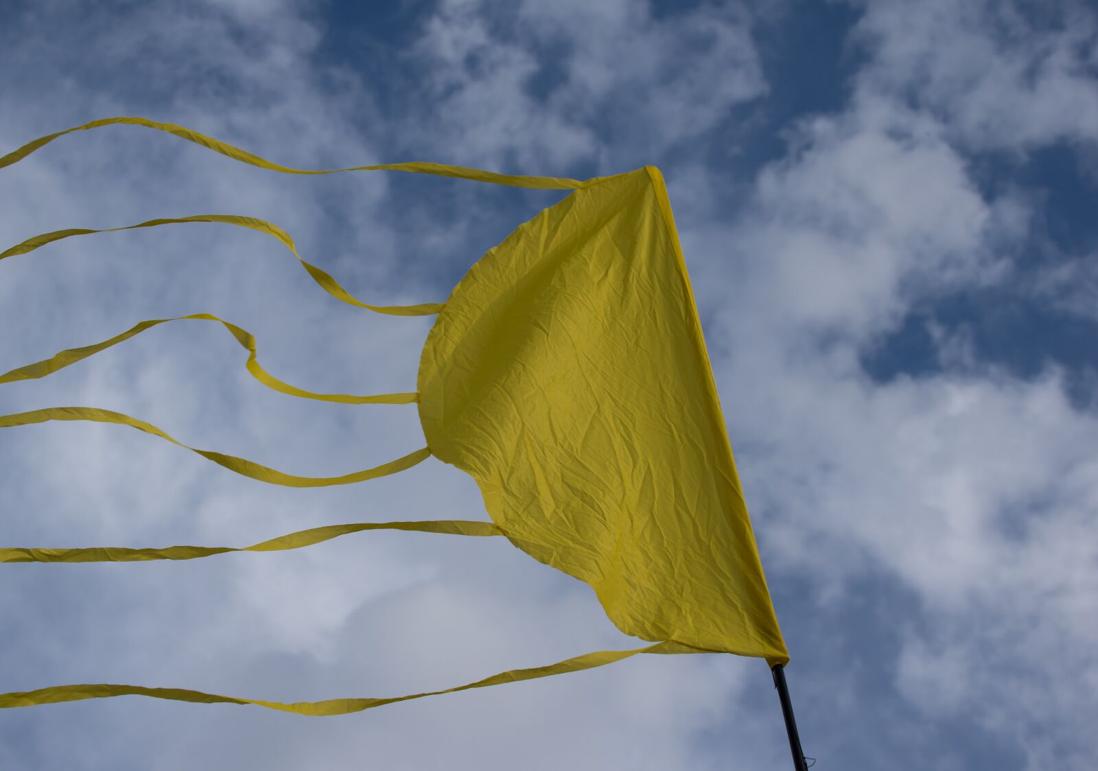 Pentax K-3 sample photo. Flag, yellow, nature photography