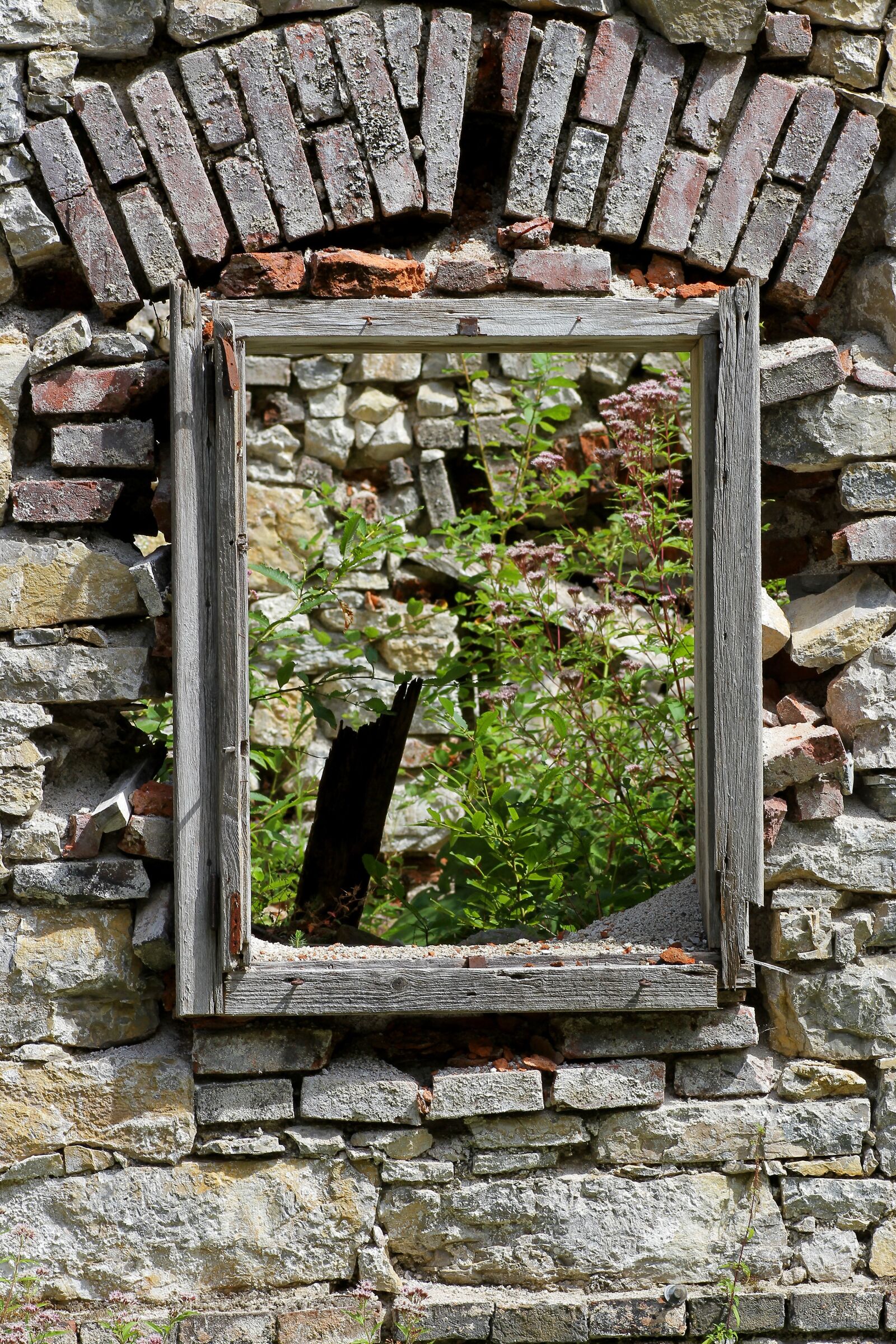 Canon EOS 7D sample photo. Wall, frame, by looking photography