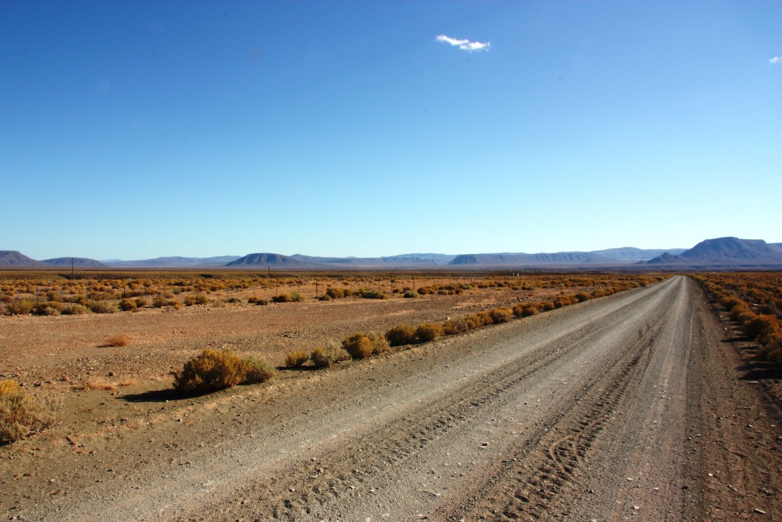 Canon EOS 450D (EOS Rebel XSi / EOS Kiss X2) sample photo. Karoo, gravel road, desert photography