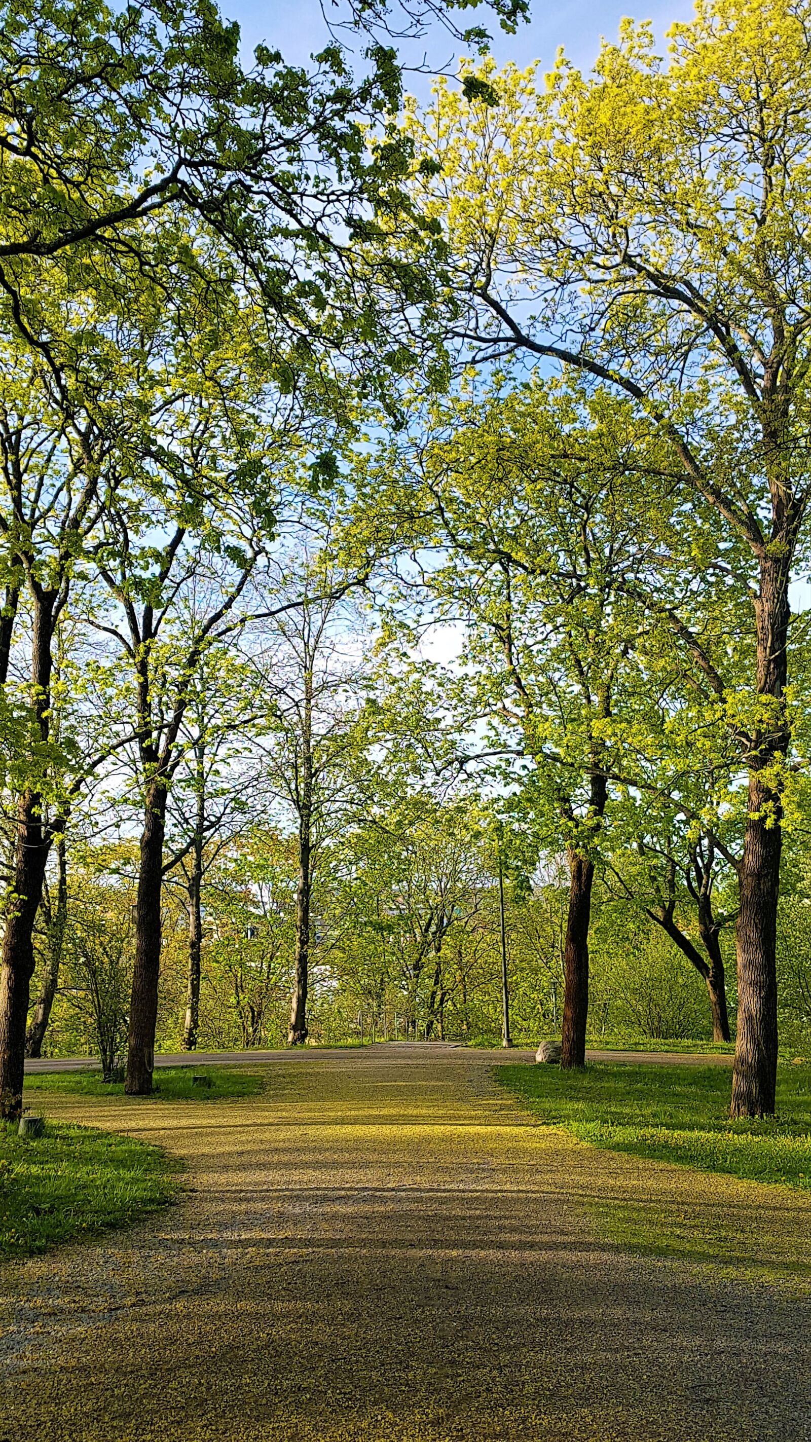 Samsung Galaxy S7 Edge sample photo. Park, spring, finnish photography