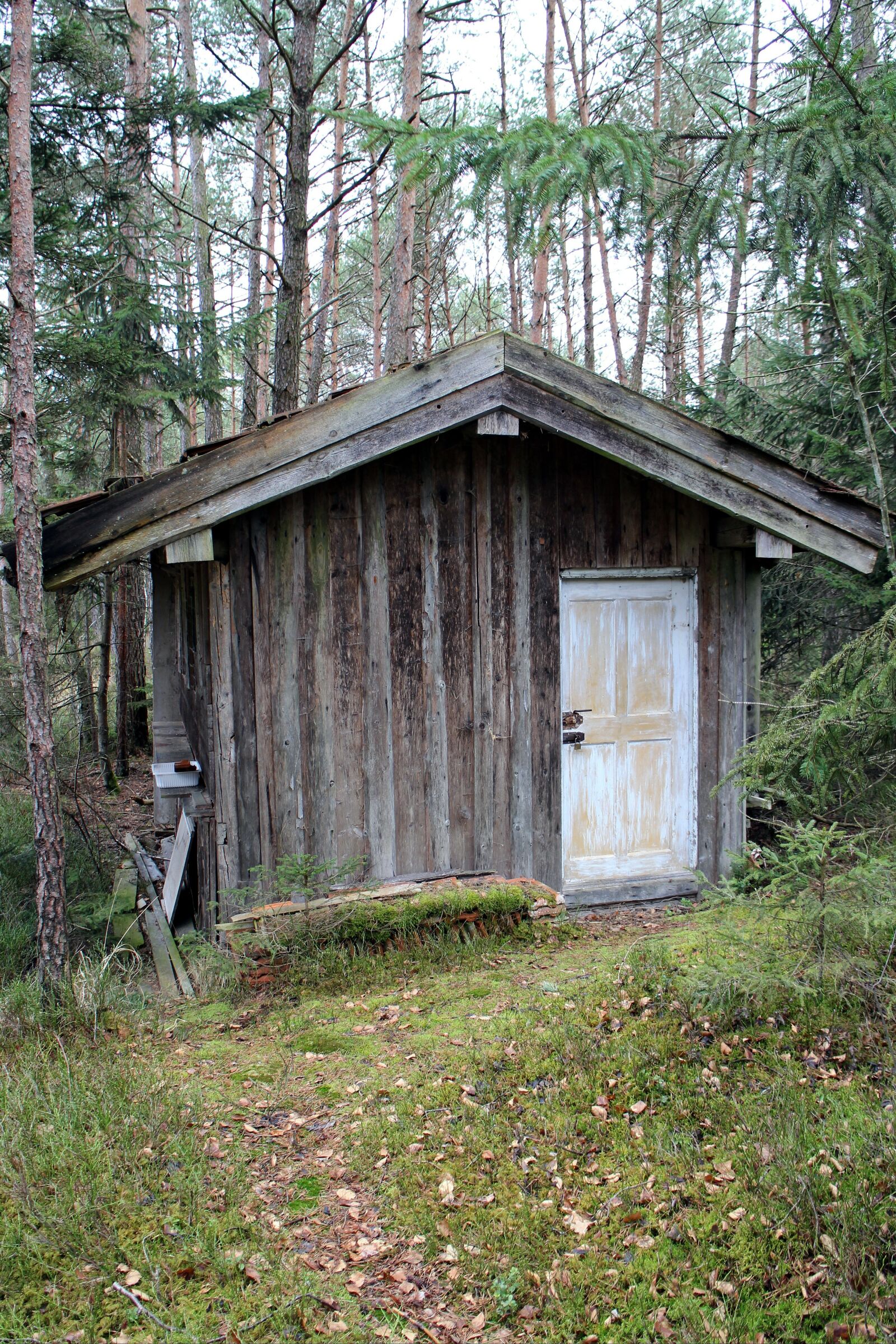 Canon EOS M sample photo. Hut, house, woodhouse photography