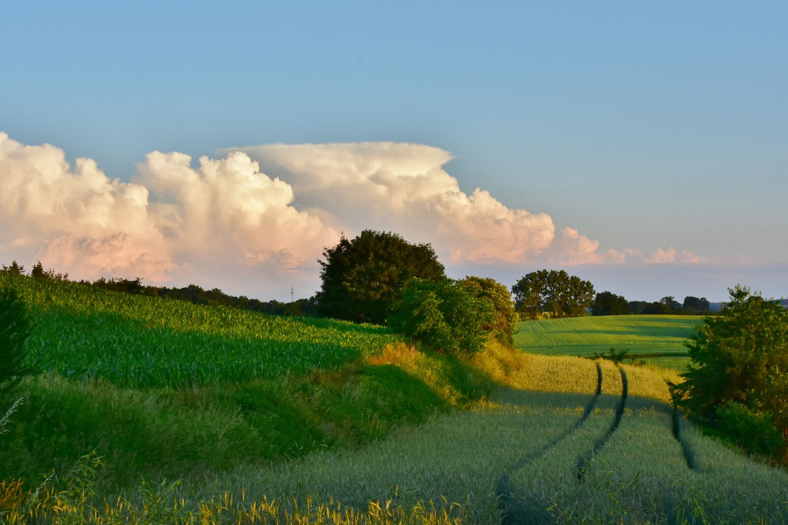 Nikon D7200 sample photo. Clouds, nature, sky photography