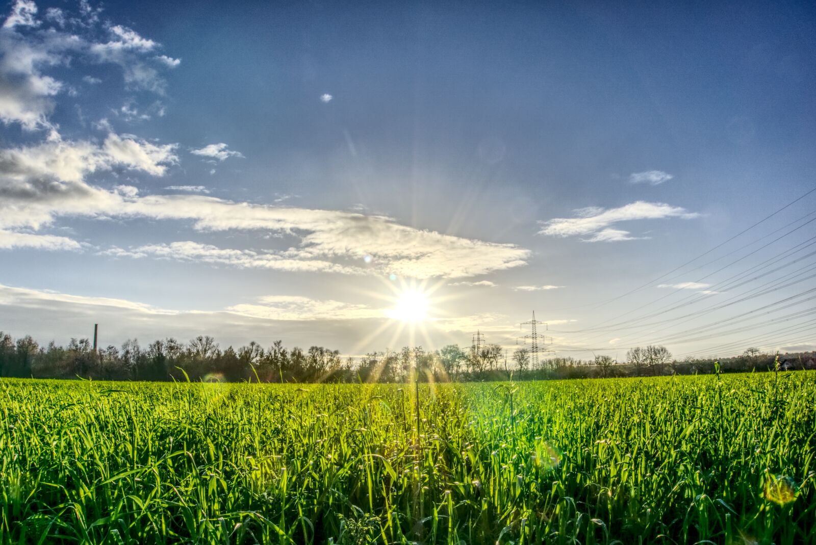 Sony a6000 sample photo. Sun, backlighting, dazzling star photography