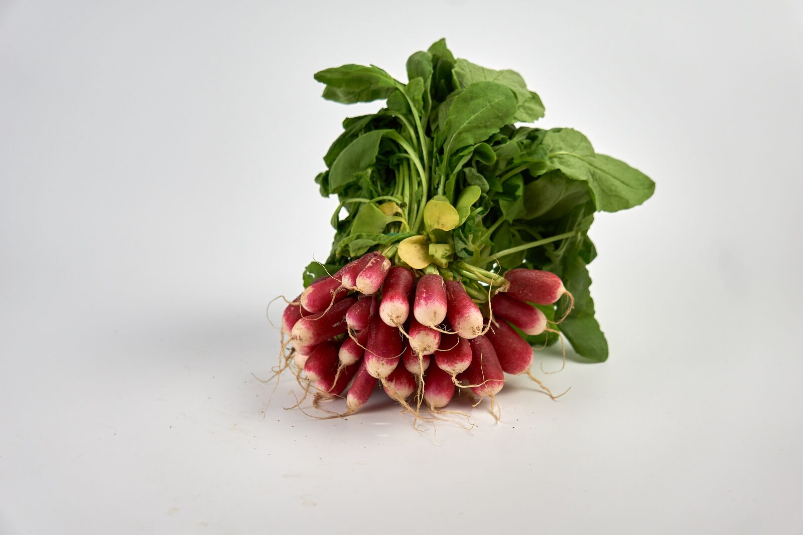 Sony E 55-210mm F4.5-6.3 OSS sample photo. Radish, power, healthy food photography