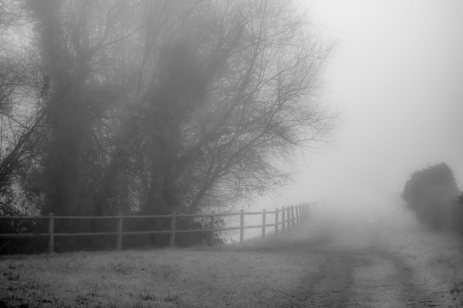Sony Cyber-shot DSC-RX100 sample photo. Landscape, mist, fog photography
