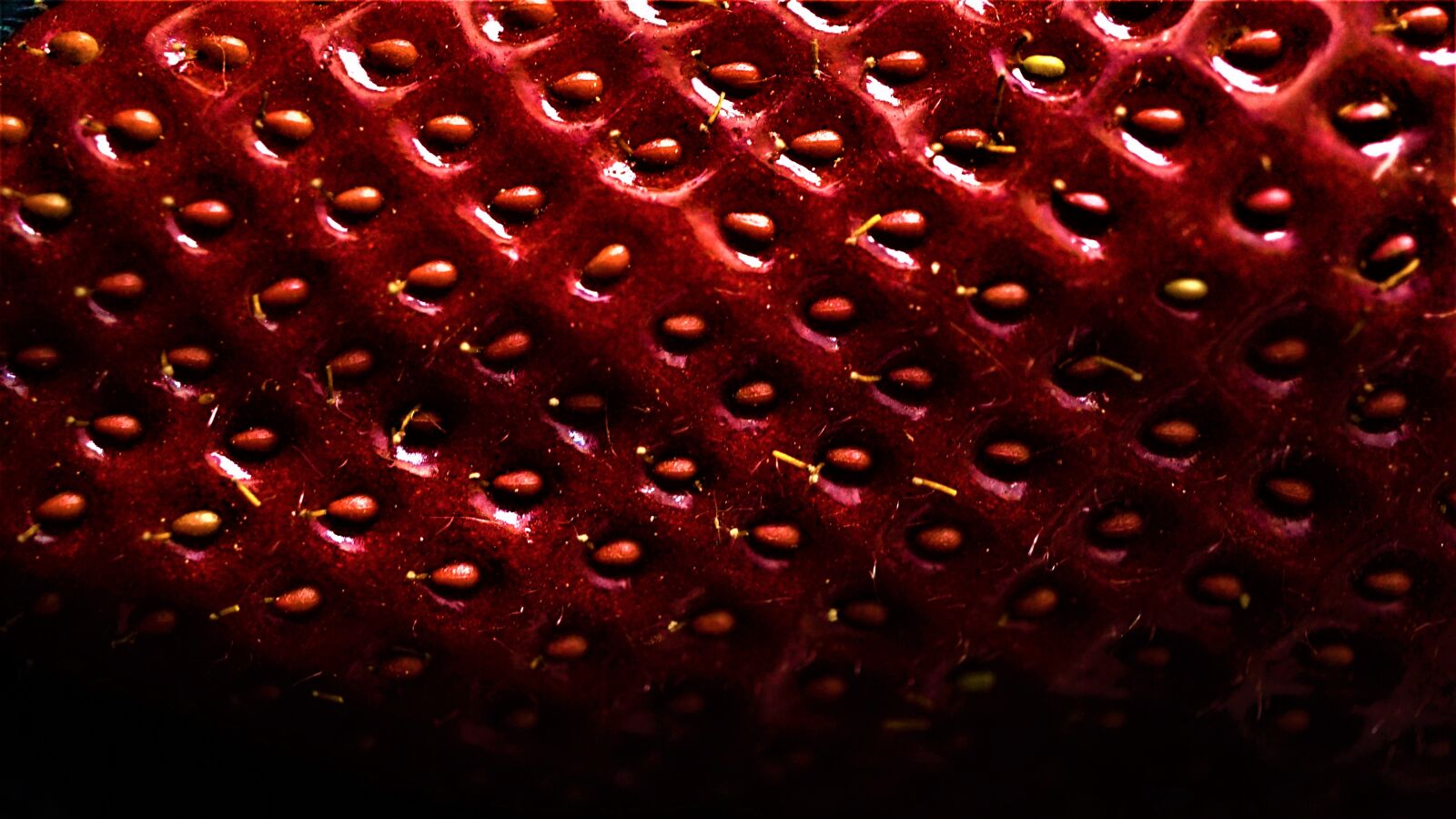 Sony E 30mm F3.5 Macro sample photo. Background, surface, structure photography