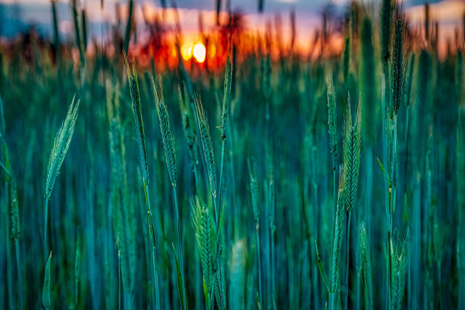 Canon EOS 70D sample photo. Sunset, abendstimmung, landscape photography