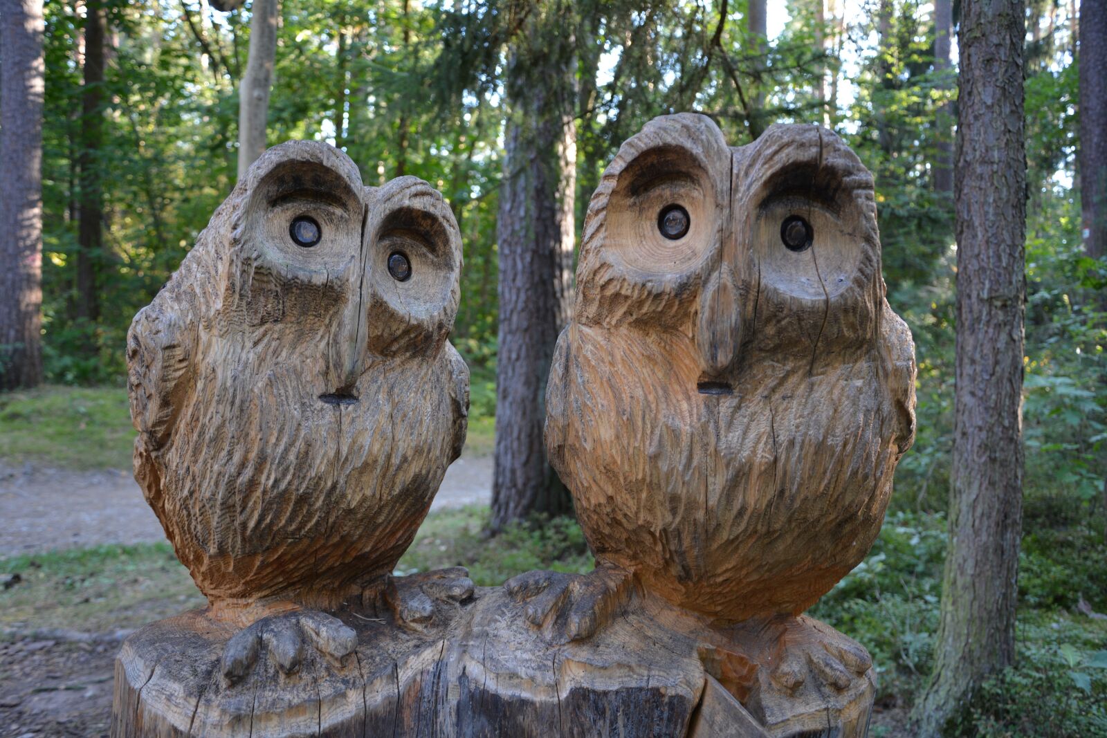 Nikon D5200 sample photo. Owl, eagle owl, friendship photography