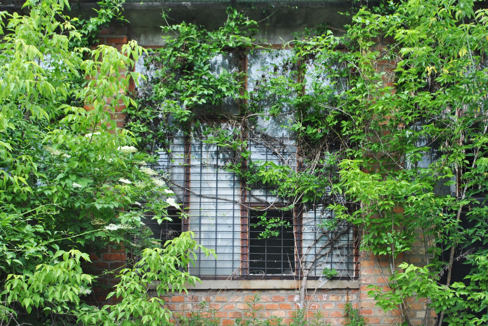 Nikon D3000 sample photo. Building, urbex, fracture photography