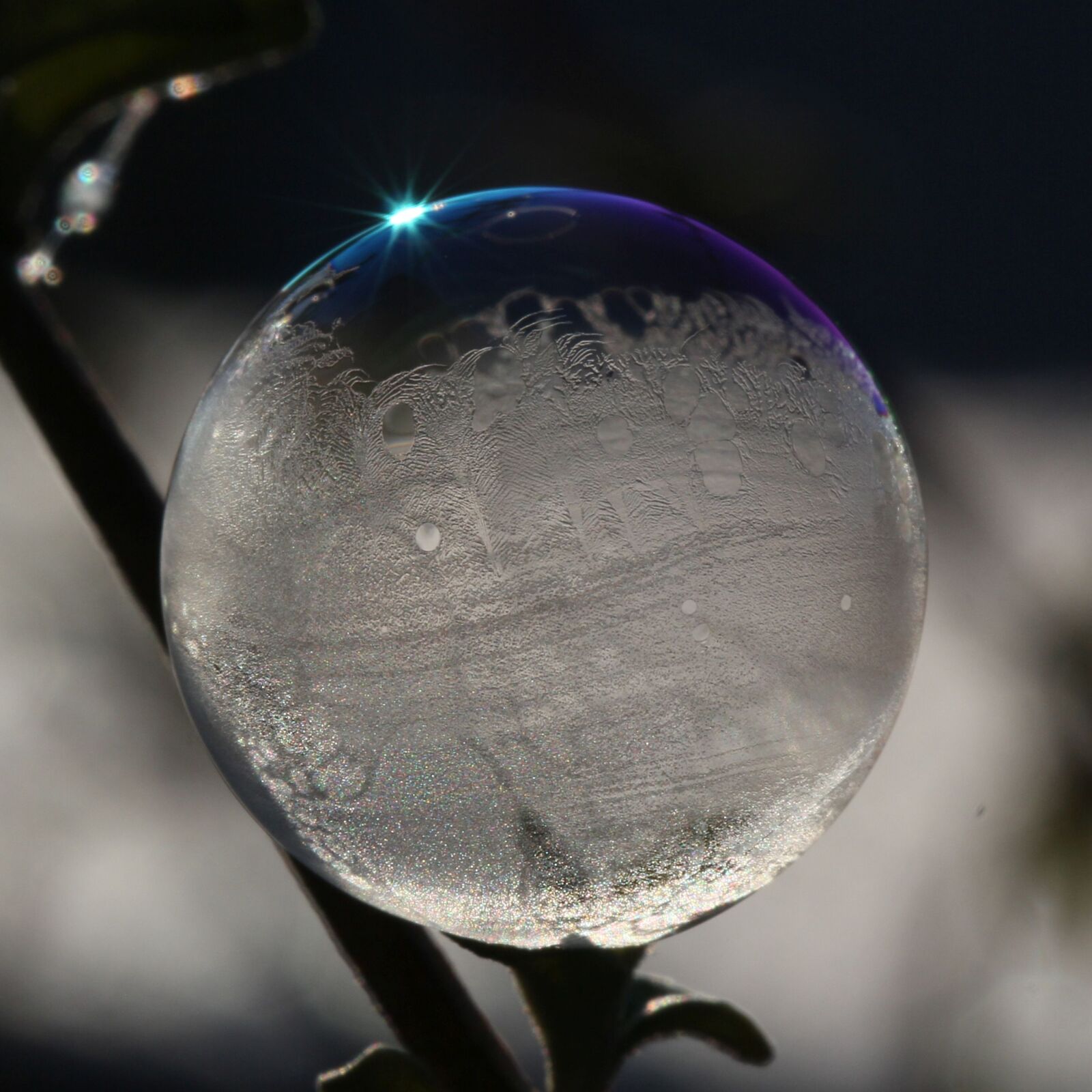 Canon EF 100mm F2.8L Macro IS USM sample photo. Soap bubble, light, reflection photography