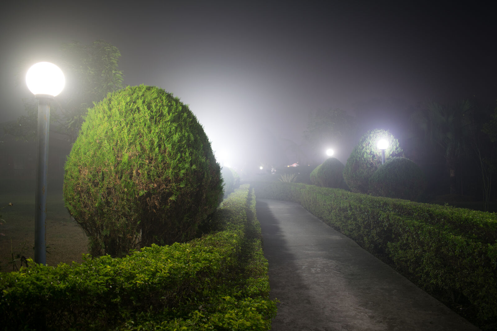 Nikon D3300 sample photo