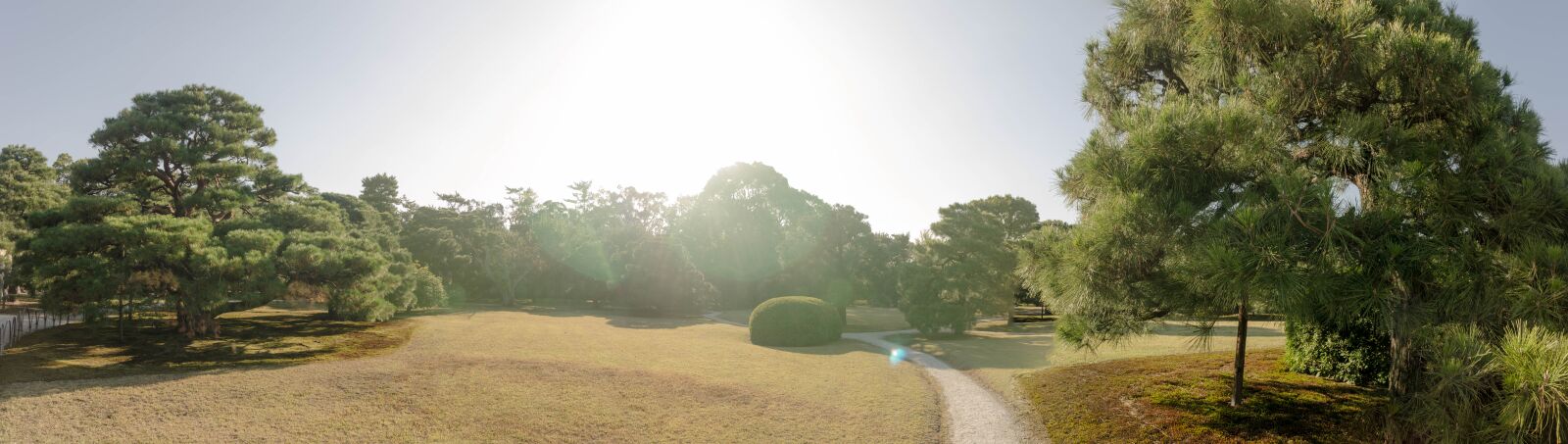 Nikon D7000 sample photo. Garden, japan, sun photography