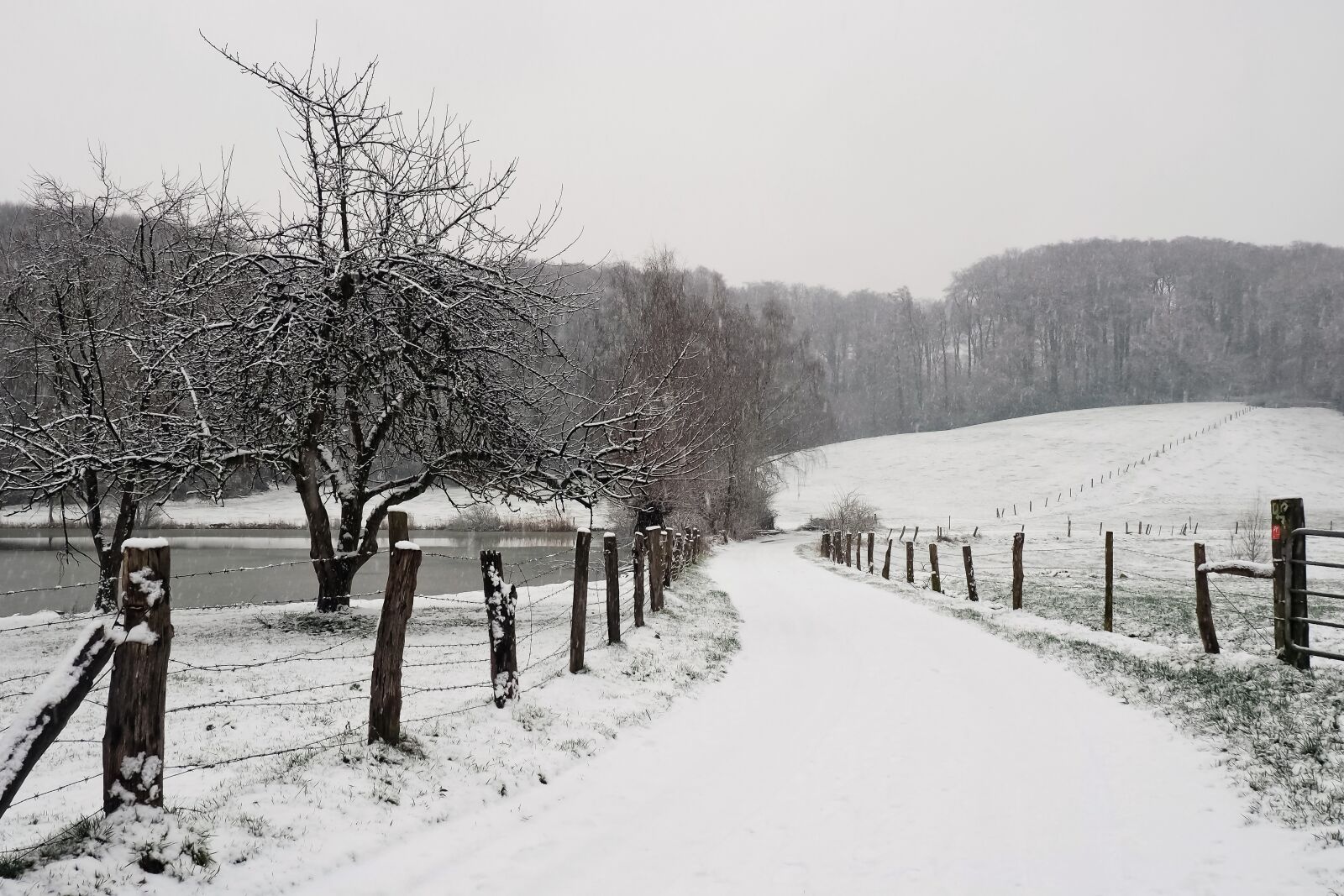 Olympus OM-D E-M10 sample photo. Landscape, winter, snow photography
