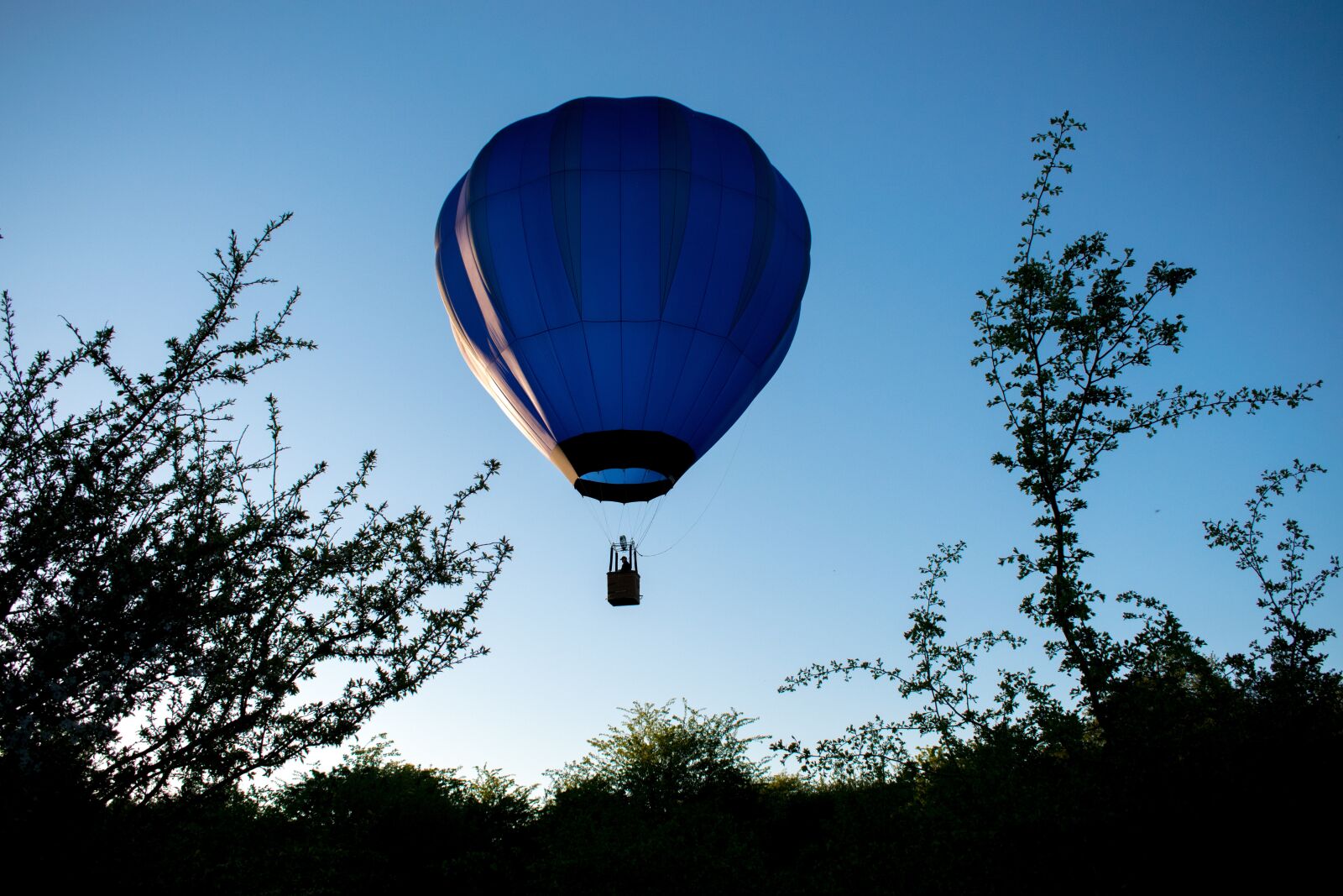 Nikon D3300 sample photo. Sky, balloon, air photography