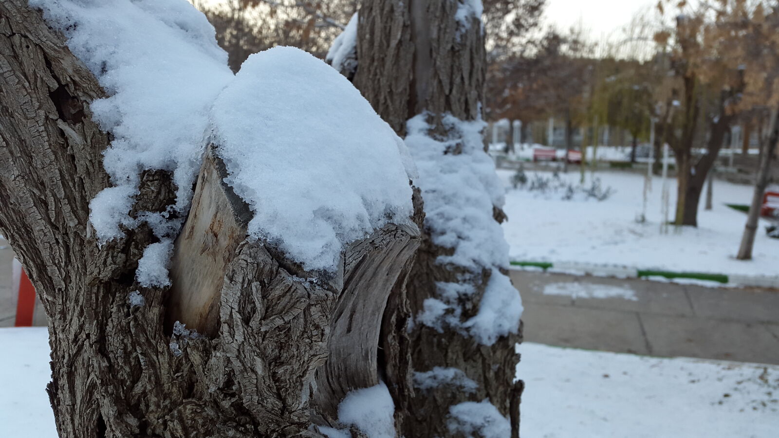 Samsung Galaxy S5 sample photo. Snow photography