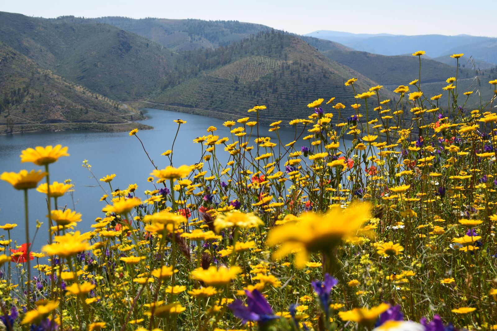 Nikon D3300 sample photo. River douro, landscape, mountains photography