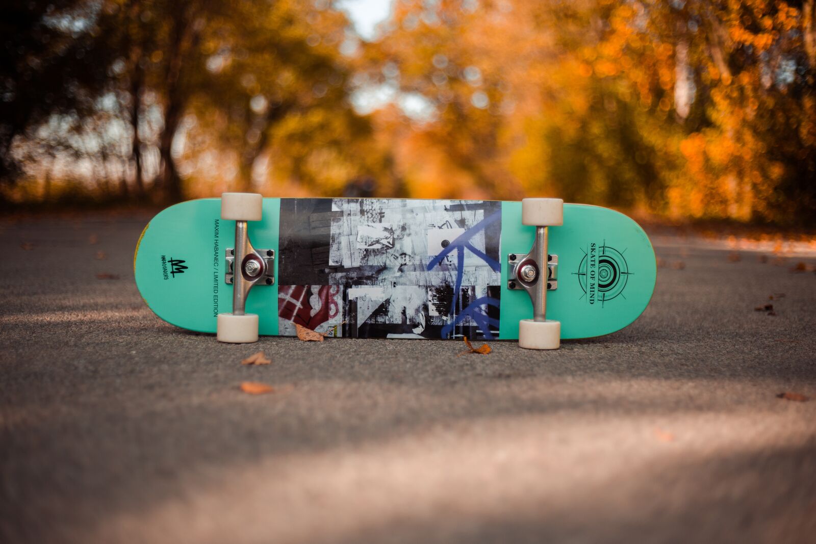 Canon EF 50mm F1.8 II sample photo. Skateboard, man, autumn photography