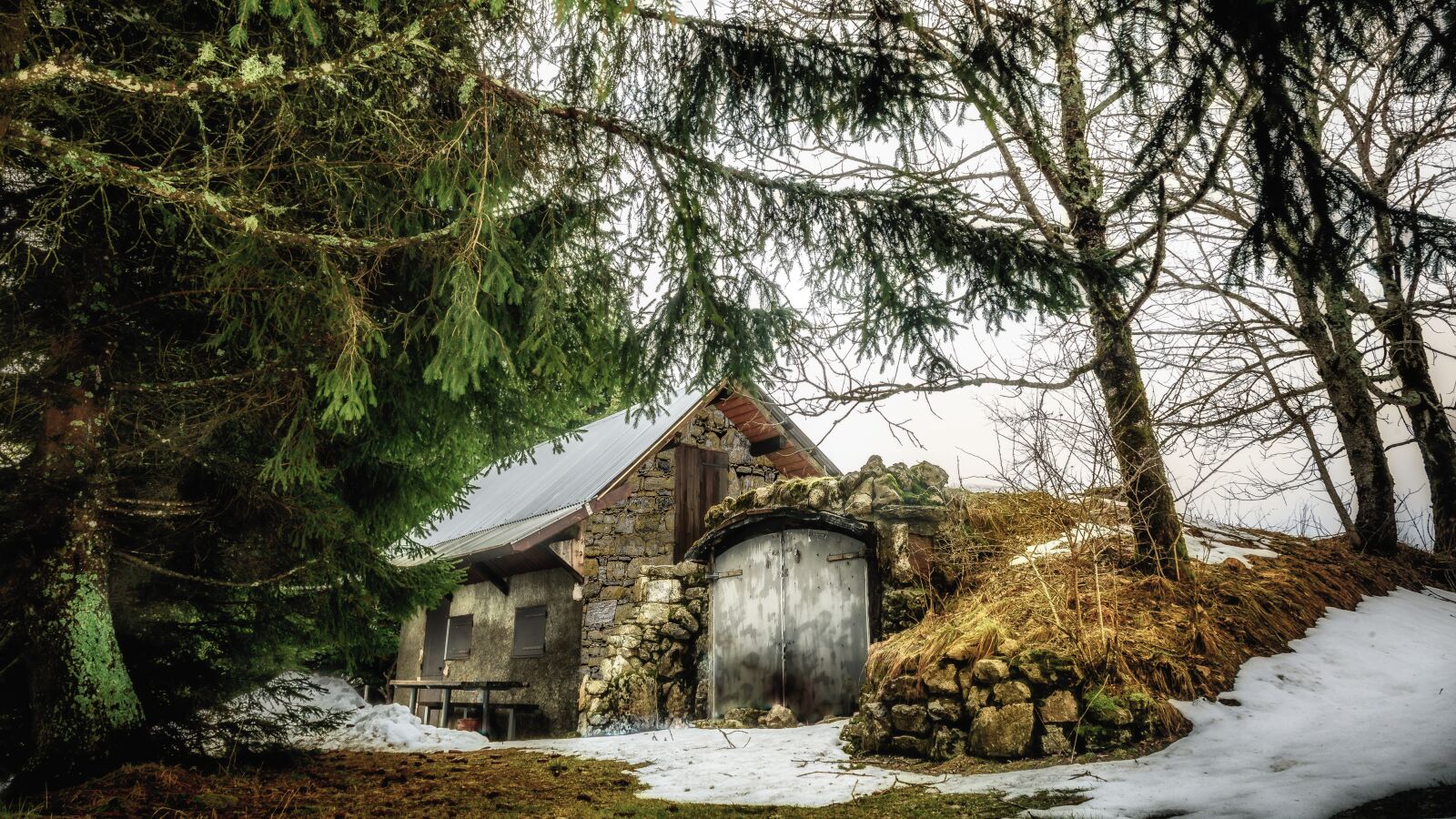 Nikon D750 sample photo. Landscape, winter, nature photography