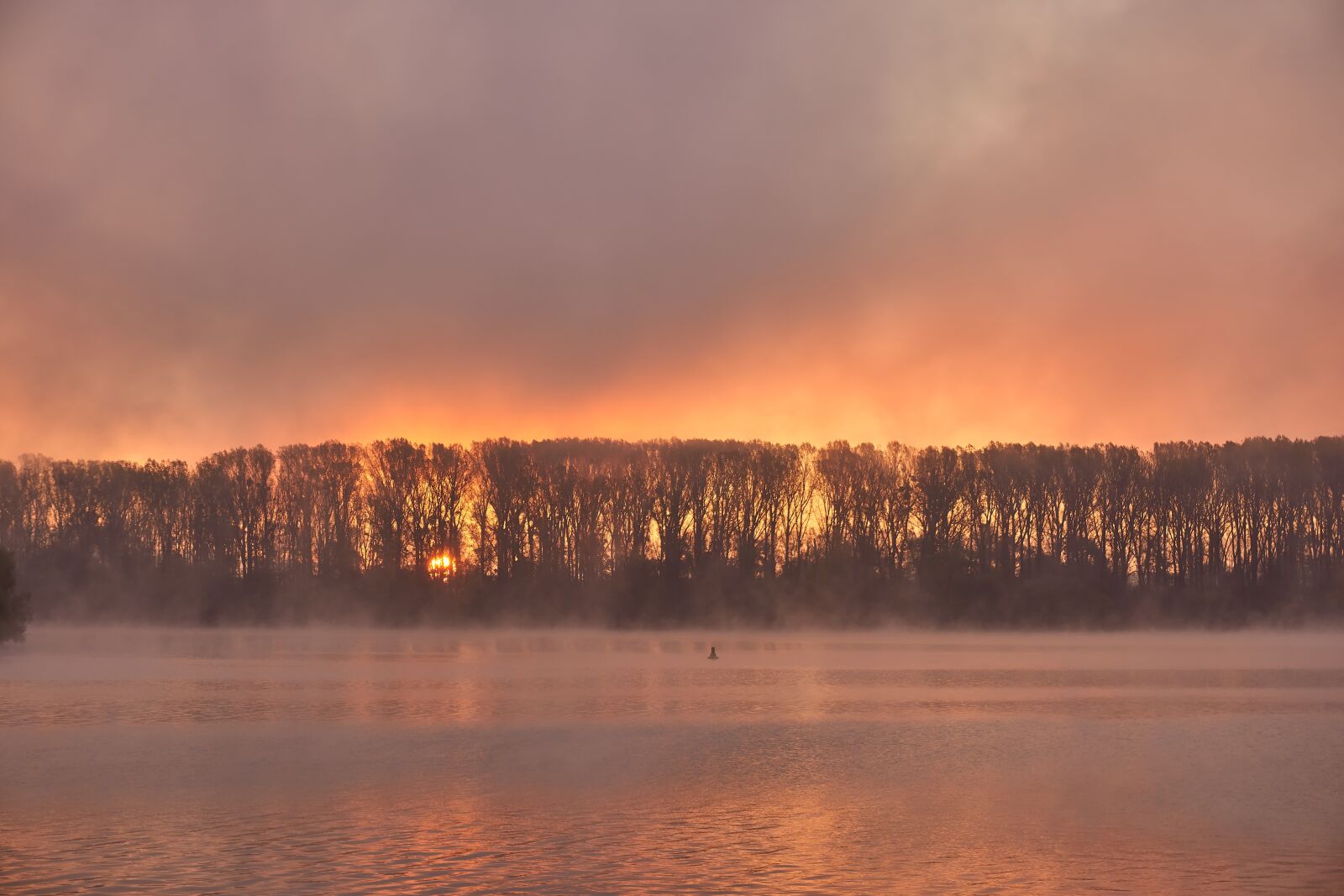 Sony a6400 sample photo. Sunrise, fog, mood photography
