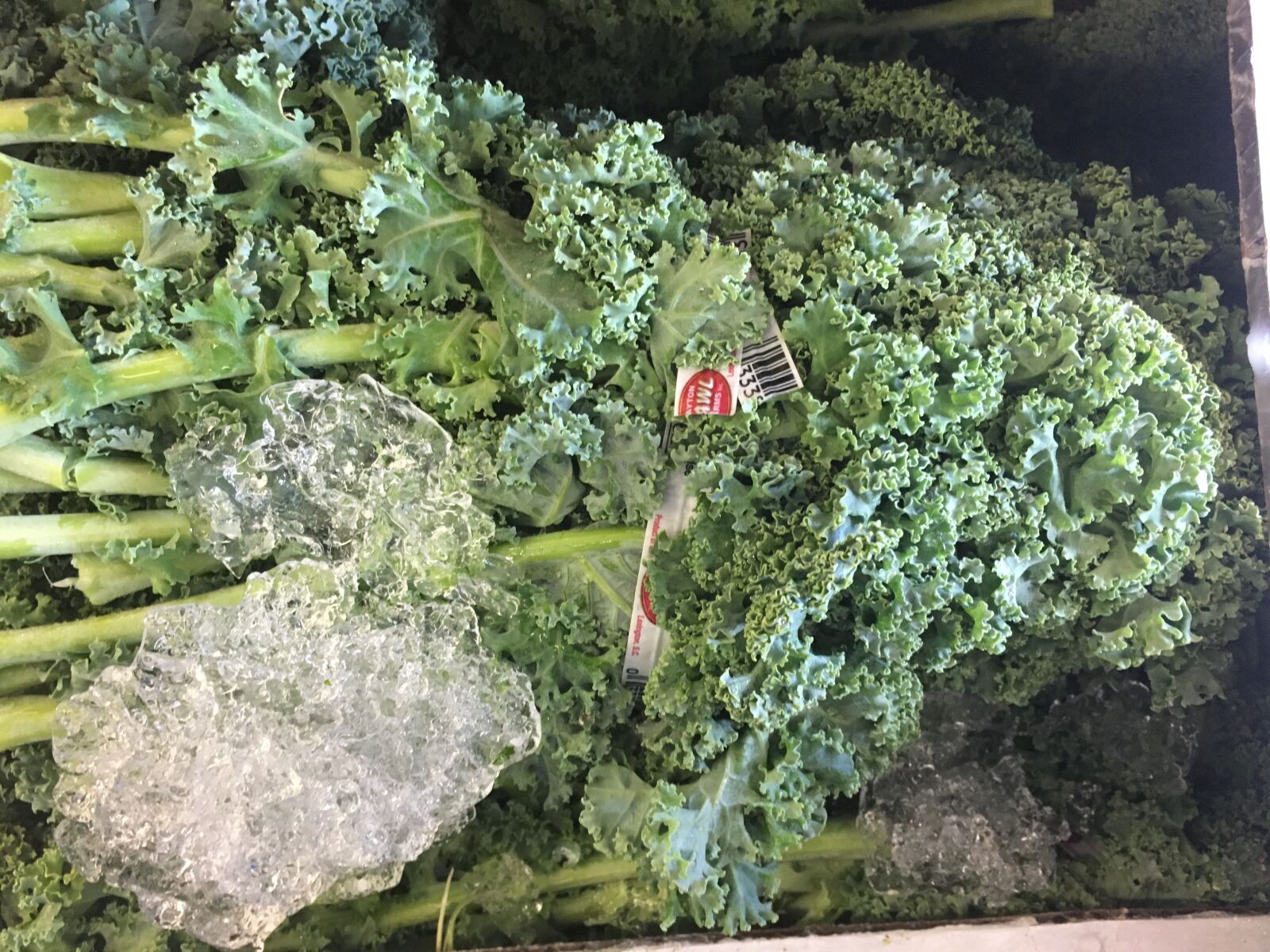 Apple iPhone 6s sample photo. Banana, box, market, kale photography
