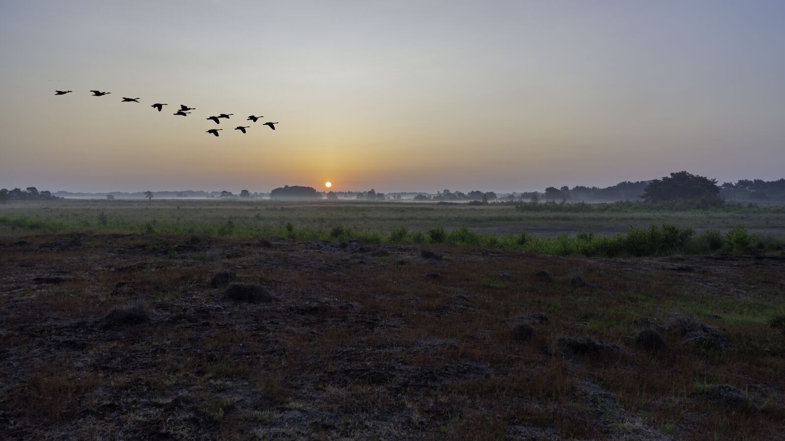 Sony a99 II sample photo. Sunrise, birds, landscape photography