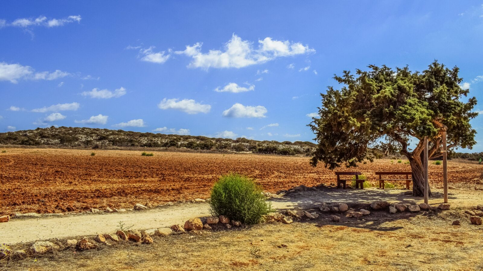 Nikon D3300 sample photo. Cyprus, cavo greko, tree photography