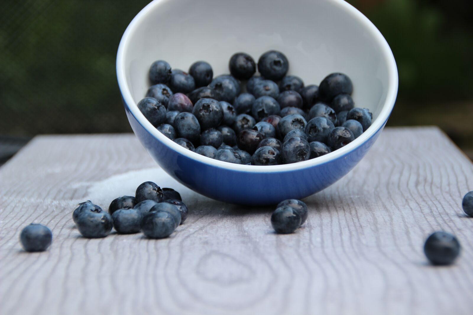 Canon EOS 600D (Rebel EOS T3i / EOS Kiss X5) sample photo. Blueberries, fruit, fruits photography
