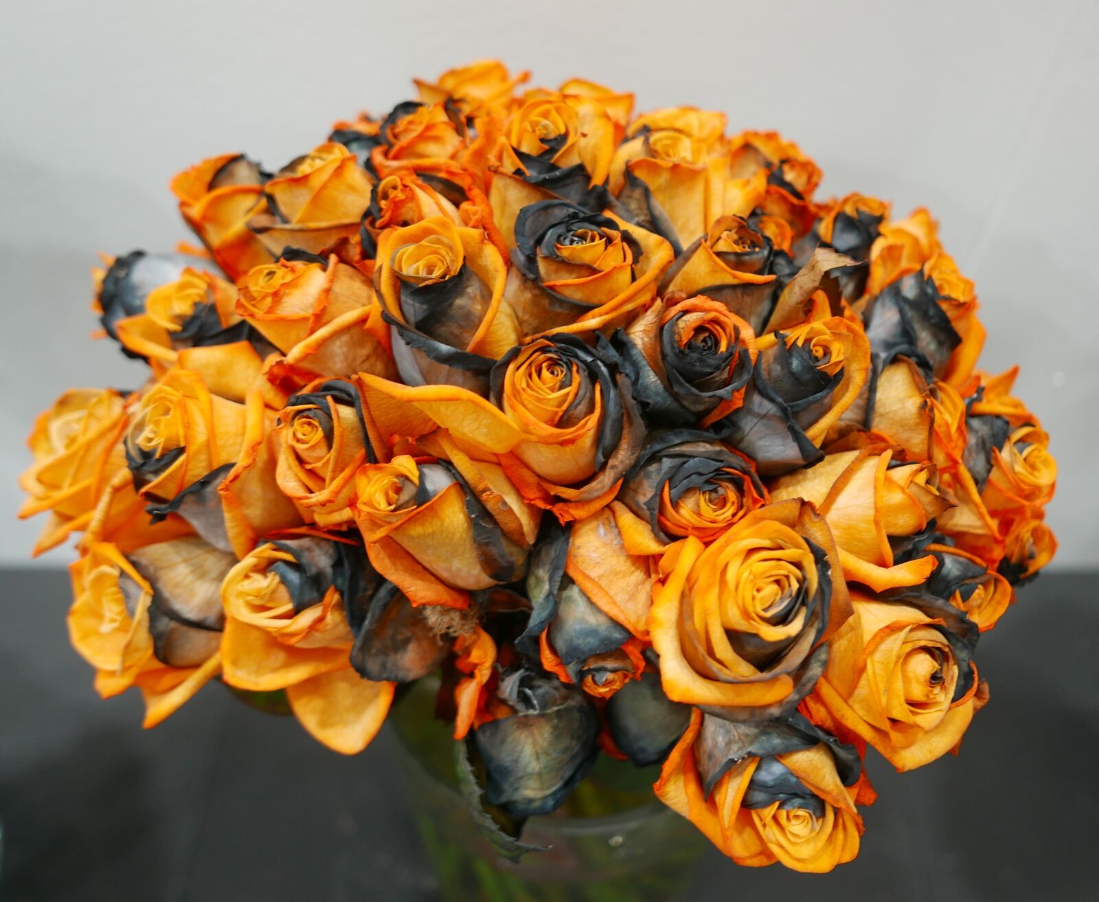 Leica D-Lux (Typ 109) sample photo. Rose, yellow, black photography