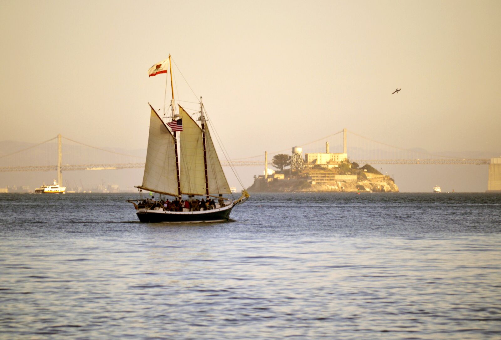 Nikon D3200 sample photo. Alcatraz, island, sailboat photography