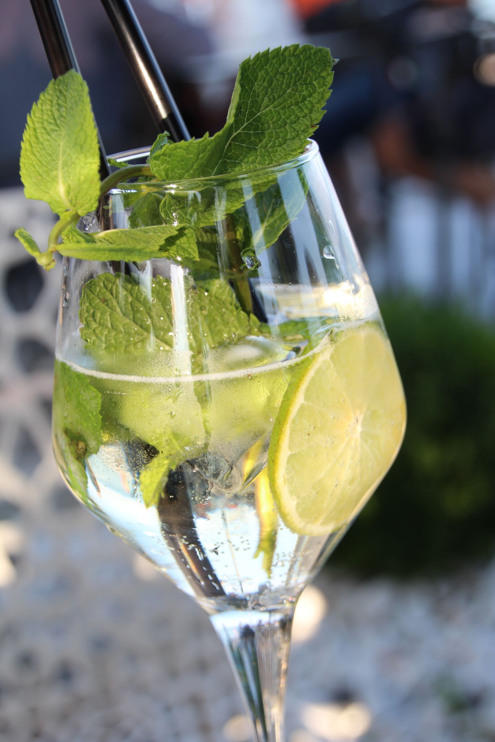 Canon EOS 1200D (EOS Rebel T5 / EOS Kiss X70 / EOS Hi) sample photo. Mint, lime, drink photography