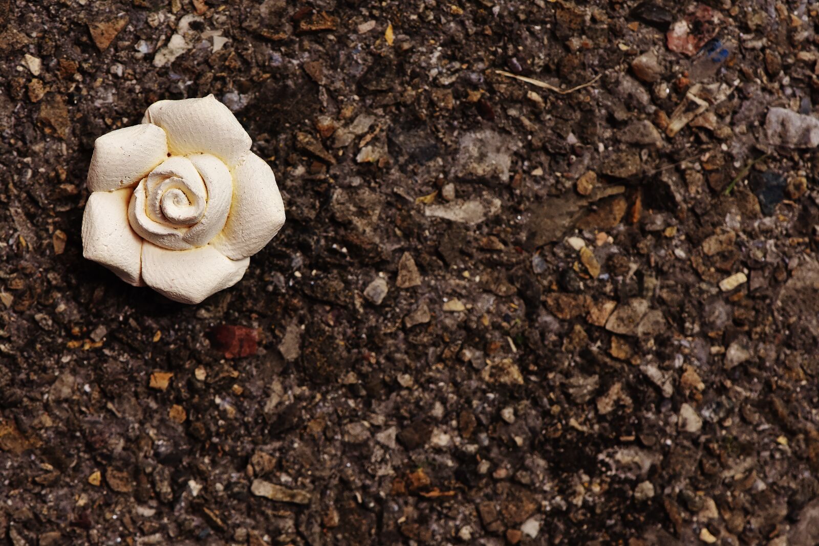 Nikon D7200 sample photo. Rose, white, blossom photography