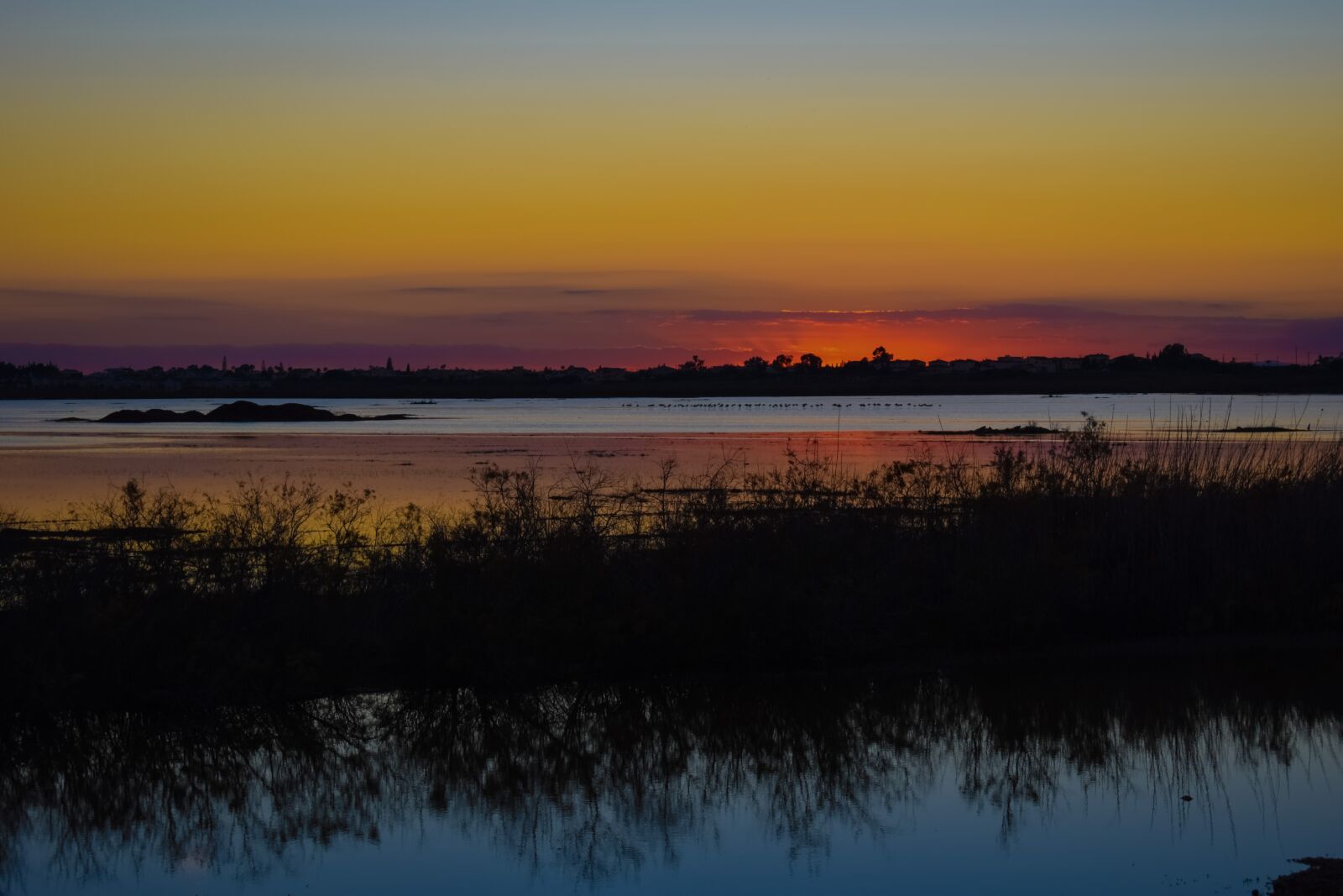 Nikon D3300 sample photo. Seasonal lake, wetland, sunset photography
