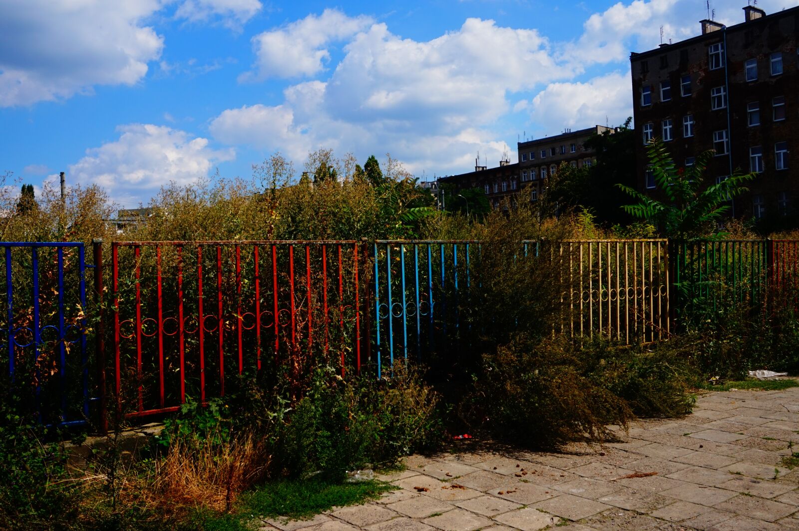 Sony Alpha a5000 (ILCE 5000) sample photo. The fence, color, clouds photography